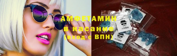 шишки Переславль-Залесский