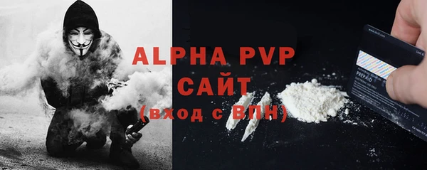 СК Пересвет