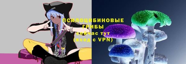 СК Пересвет