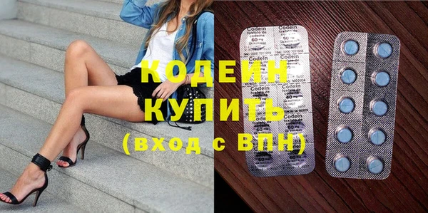 шишки Переславль-Залесский