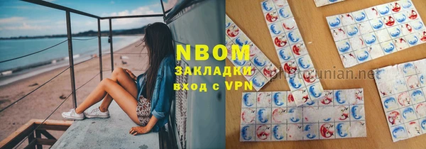 СК Пересвет