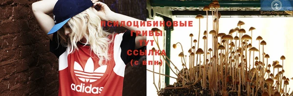 мдпв Покровск