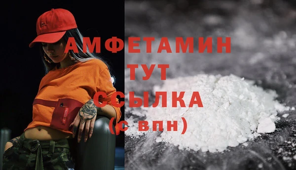 твердый Пестово