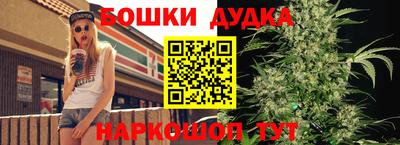 a pvp Аргун