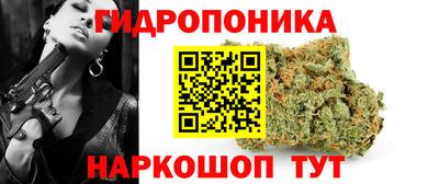 a pvp Аргун
