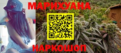 прущие грибы Абакан