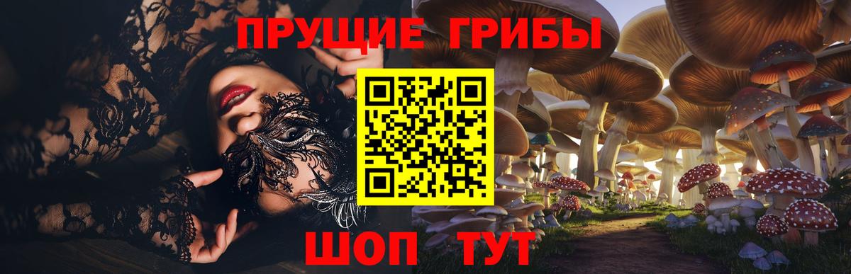 Галлюциногенные грибы Psilocybine cubensis  Вход с VPN  Ахтубинск  Псилоцибиновые грибы Cubensis 